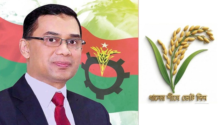 দেশ গঠনে অংশ নিন ধানের শীষে ভোট দিন